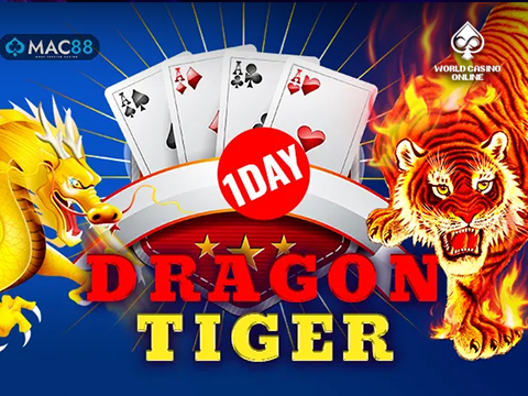 1 Day Dragon Tiger