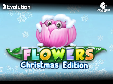 Flowers Christmas Edition