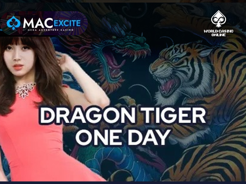 1 Day Dragon Tiger Excite