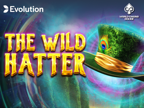 The Wild Hatter
