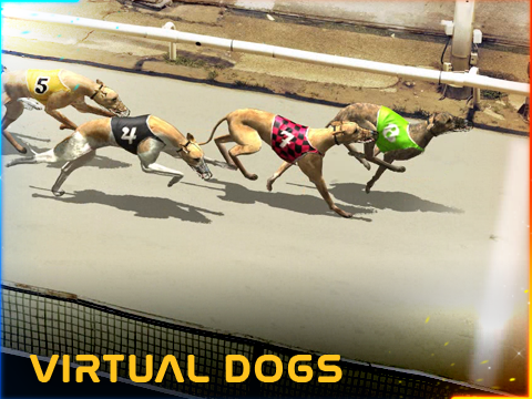 Virtual Dogs