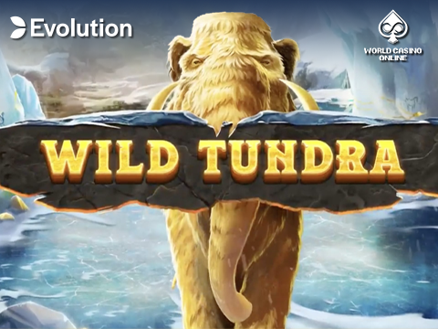 Wild Tundra