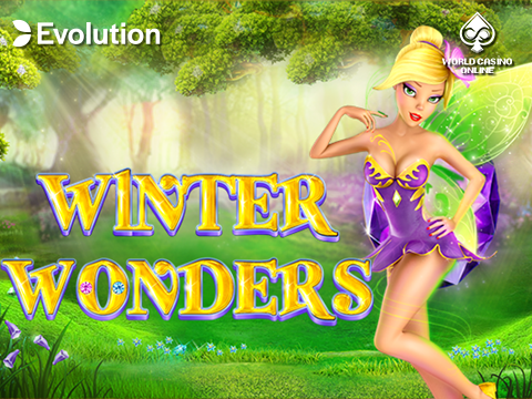 Winter Wonders